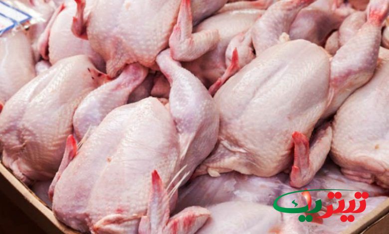تیتریک آنلاین+قیمت مرغ در بازار روند افزایشی گرفت