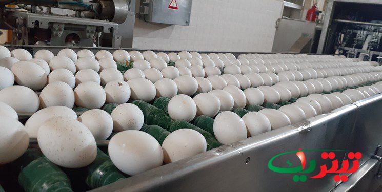 به گزارش تیتر یک آنلاین به نقل از فارس، قیمت تخم مرغ در روزهای اخیر افزایش یافته و بیشتر از قیمتی که وزارت جهاد کشاورزی تعیین کرده عرضه می شود
