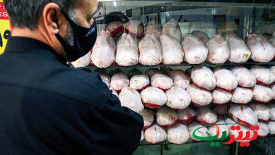 به گزارش تیتر یک آنلاین به نقل از خبرگزاری فارس، برخی مسئولان می‌گویند که قیمت مرغ در روزهای آینده متعادل شده و کاهش خواهد یافت و دلیل آن را افزایش جوجه‌ریزی در ماه فروردین عنوان می‌کنند که تاثیر آن روی بازار از ماه اردیبهشت ملموس‌تر خواهد بود.