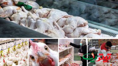 به گزارش تیتر یک آنلاین به نقل از خبرگزاری مهر: طی یک ماه گذشته بازار مرغ در استان‌های مختلف کشور به دلایل مختلف دچار التهاب شد، همین موضوع باعث افزایش قیمت مرغ در برخی از مناطق کشور شد.