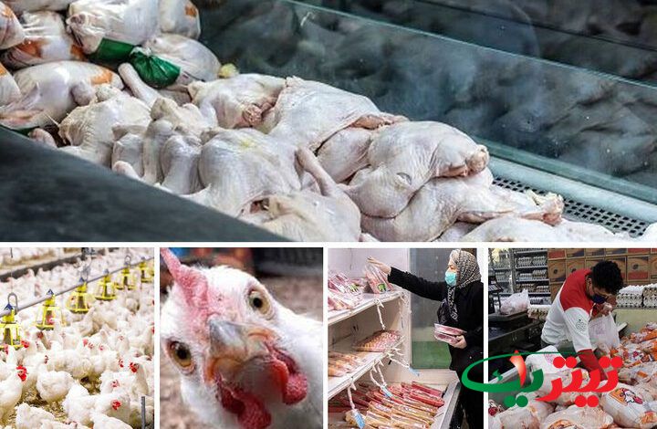 به گزارش تیتر یک آنلاین به نقل از خبرگزاری مهر: طی یک ماه گذشته بازار مرغ در استان‌های مختلف کشور به دلایل مختلف دچار التهاب شد، همین موضوع باعث افزایش قیمت مرغ در برخی از مناطق کشور شد.