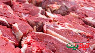 به گزارش تیتر یک آنلاین به نقل از مهر، جبرئیل برادری، رئیس سازمان جهاد کشاورزی استان تهران با اشاره به توزیع گسترده گوشت گرم گوساله گفت: این اقدام باعث کاهش ۳۰ تا ۴۰ هزارتومانی گوشت قرمز شده است.